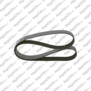 00113 Mercedes Benz Axor V-Ribbed Belt A9069934096