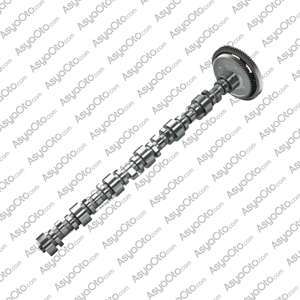 00124 Mercedes Benz Axor Camshaft A4600500601