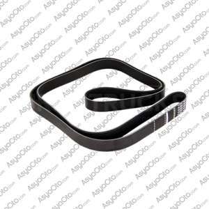 00722 DAF CF Series V-Ribbed Belt 1654389