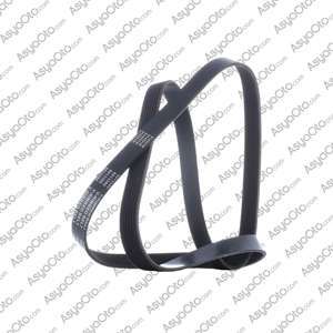 00761 DAF CF Series V-Ribbed Belt 1812162