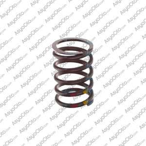 00955 MAN 19 Series Valve Spring 51041020082